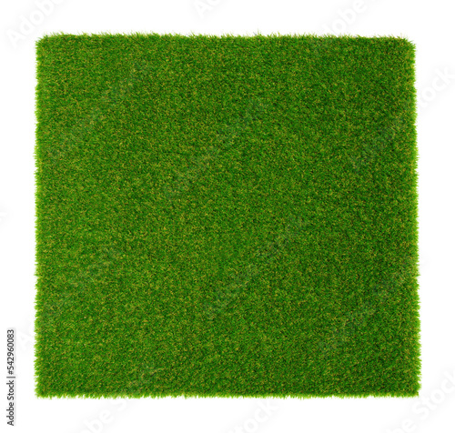 Green field square on white background