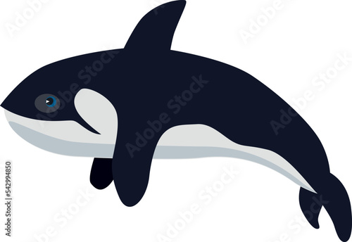 Orca icon. Underwater animal. Arctic ocean fauna