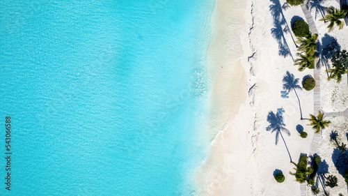 Aerial top down view of a tropical paradise beach with fine sand, coconut palm trees and turquoise shining sea in the Caribbean with copy space