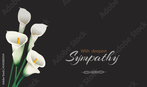 White calla flowers (arum lilies) mourning bouquet close-up in the black background. Vector conceptual illustration with the inscription With deepest sympathy and place for additional text.