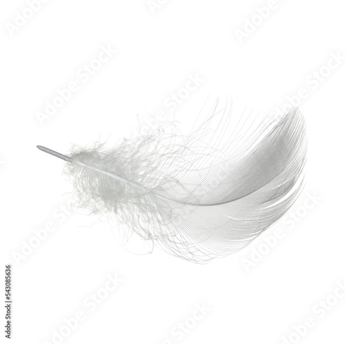 white feather isolated