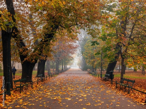 Kolorowa jesień na krakowskich plantach w mglisty poranek