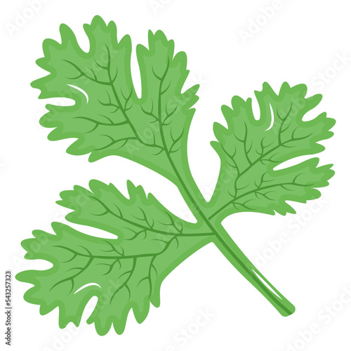 Icon of spinach leaf flat design 
