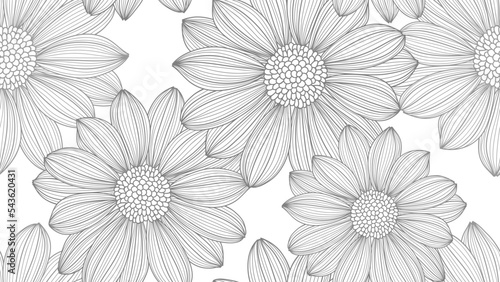 Seamless pattern with flowers gerbera.