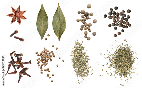 bay leaf ,spices, cilantro, coriander, fennel, basil, carnation, star anise isolated on a white background. The view from top. allspice on white background