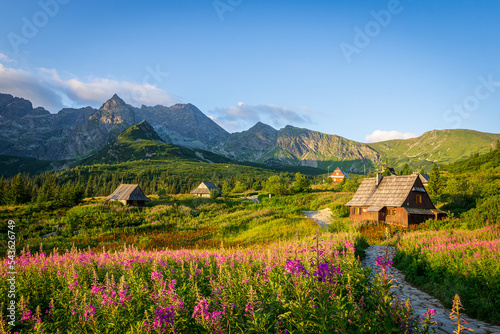 Sunny morning at Hala Gąsienicowa | Tatry, Poland