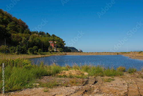 Strunjan protected marine park on the coast of Slovenia in the Gulf of Trieste, mid September. Italian stone pines, also called parasol or umbrella pines, are central 