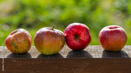 Ekologiczne Cztery Jabłka
