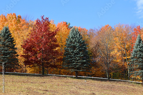 North america fall landscape eastern townships Bromont Quebec province Canada