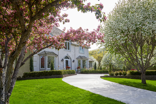 Spring day with flowering trees on the front yard of my house