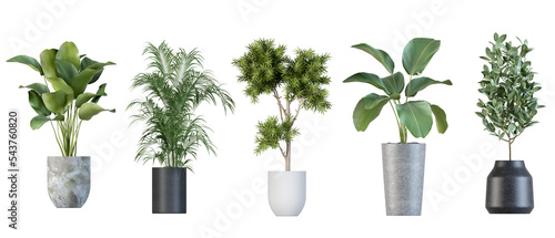 Plants in 3d renderinBeautiful plant in 3d rendering isolatedg isolated