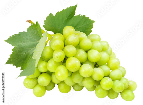 Bunch of Green Grape with leaves isolated on white background, Sweet Green Grape on a branch on white PNG File.
