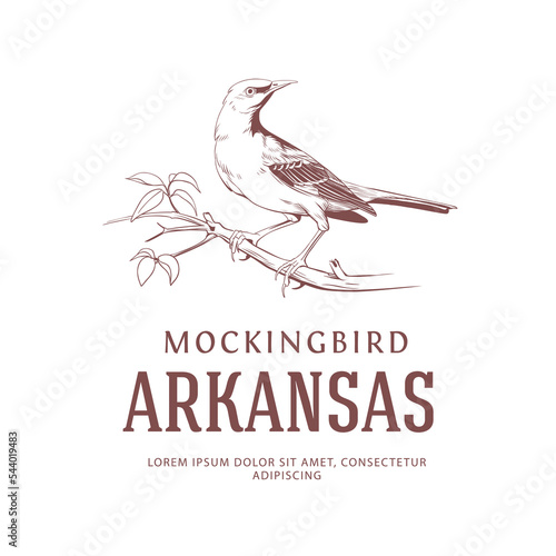 Mockingbird Vintage Logo. Arkansas State Bird