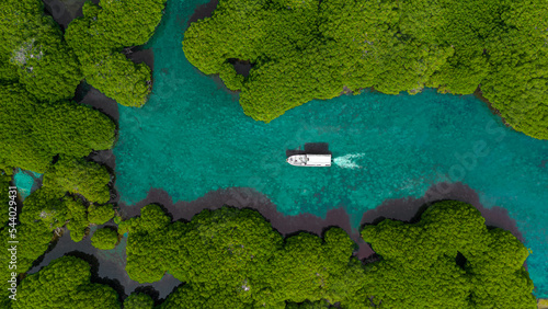 ariel view of a boat between the mangrove trees