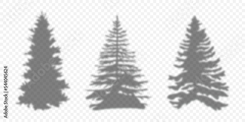 Silhouette Christmas Tree. Shadow Pine Tree. Shadow Christmas Trees different shape. Vector illustration