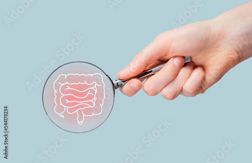 Intestine disease concept. Magnifying glass studying guts, bowel. Gastroenterology