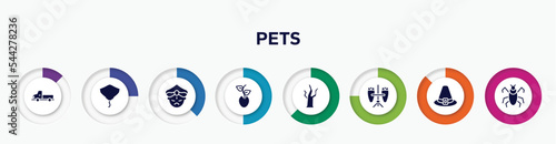 infographic element with pets filled icons. included pickup truck, stingray, maharaja, seeds, dead tree, conga, pirim, insect vector.