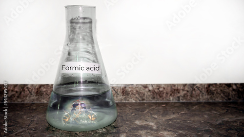 Formic acid in a glass flask. Chemical reagent concept