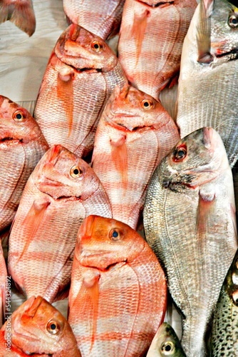 Frischer Fisch auf Fischmarkt