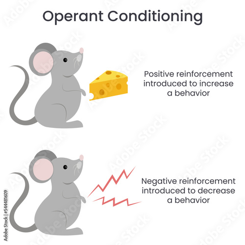 Operant Conditioning educational vector illustration infographic