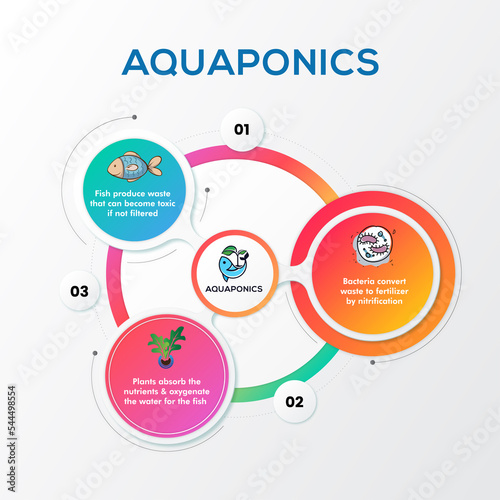 Aquaponics working model