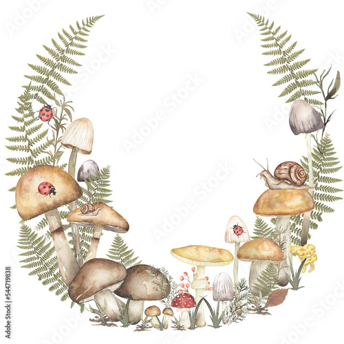 Watercolor fungi and real fern leaves composition, fungus and autumn berries and insects illustration. Hand drawn watercolor forest mushroom wreath