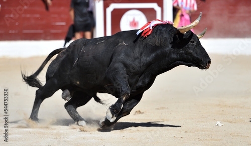 un toro negro en una plaza de toros en españa