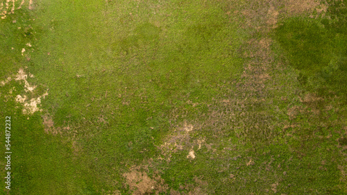 Perpendicular aerial view of green grass field