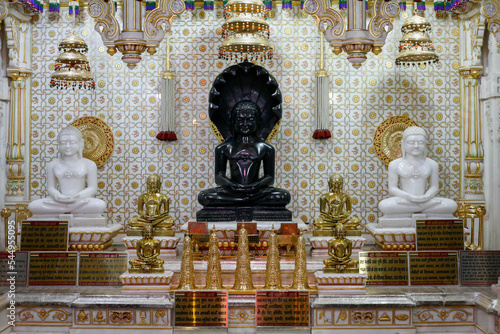 Jina Images from Rohtak's Gajaratha DIgamabar Jain Mandir