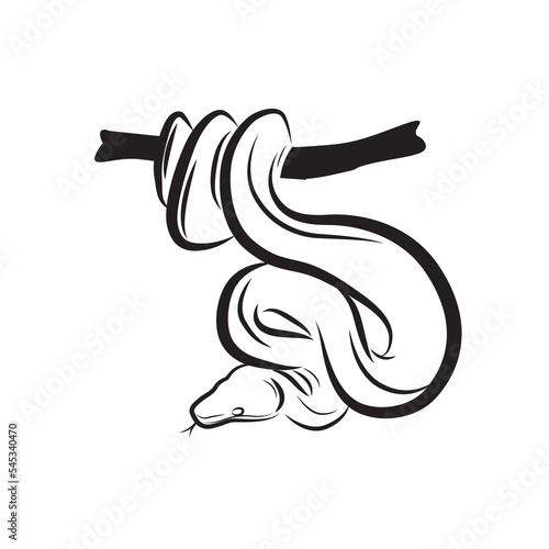 Snake or python on branch vector isolated on white. Viper snake icon.