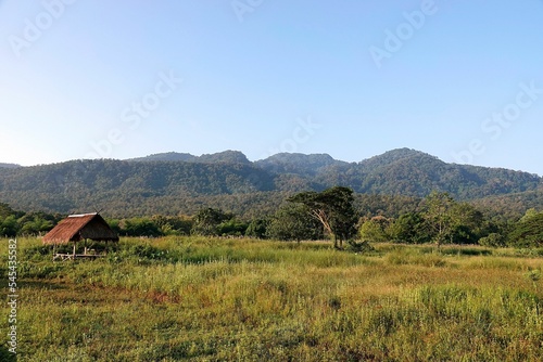 Scenic view of a mountainous background with lush green nature and vegetation in daylight