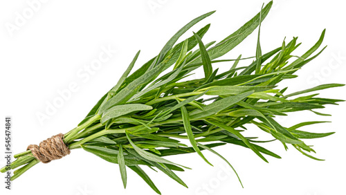 Tarragon bunch isolated on white background