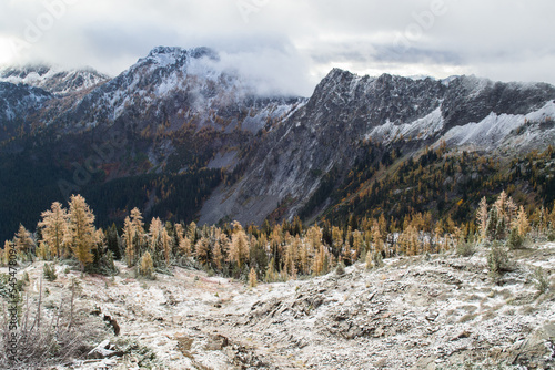 Fresh snowfall in the autumn Cascades