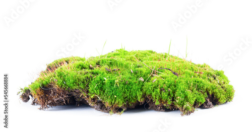 Green moss with soil isolated on white background.
