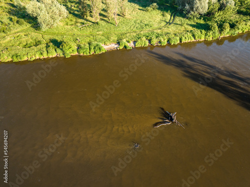 The Pilica river near the village of Przylot