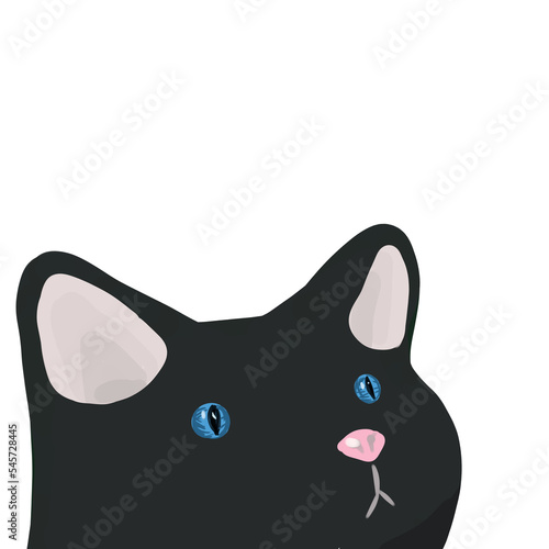 czarny kot z przezroczystym tłem