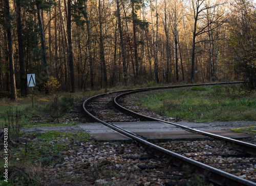 Tory kolejowe biegnące przez las jesienny . Zakręt i przejazd kolejowy .