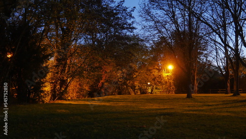 Un coin d'un parc ou celui d'une rue, zone urbaine éclairé par des lampadaires jaunes, avec un peu de nature, début d'automne, photo de nuit ou de soirée, avec un peu de brume. 