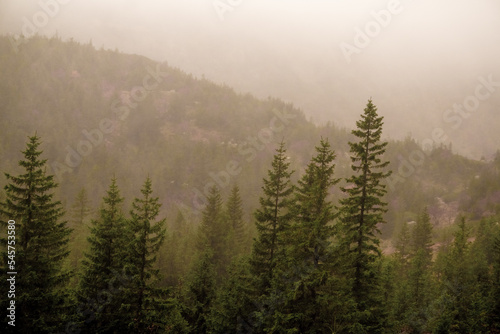 misty landscape mountain landscape in rain in autumn