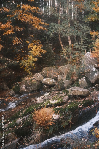Große Steine im Wald. Steinerne Renne in Wernigerode. Jahreszeit Herbst