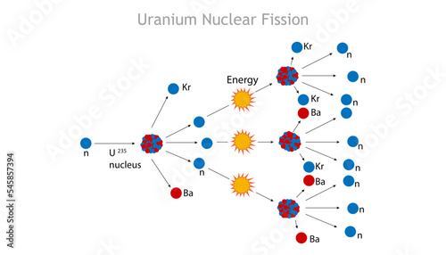 the process of nuclear fission in uranium