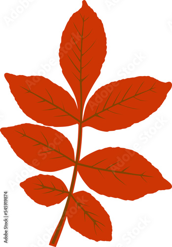 Autumn leaves. Vector illustration in a flat style.
