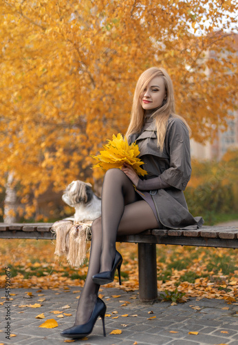 Beautiful woman with perfect legs sitting in the autumn park with a cute Shih-Tzu dog