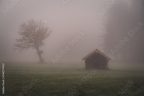 Stadl im Nebel