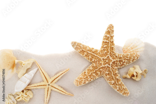Beach border summer background with sand, starfish and seashells isolated on transparency photo png file 