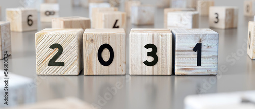 2031 - word on wooden blocks - 3D illustration