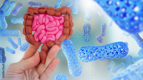 Microbiome body. Model of intestinal tract in hand. Molecules microbiome or probiotics. Beneficial bacteria in intestines. Caring for microbiome organism. Health of intestinal tract. Probiotic cells