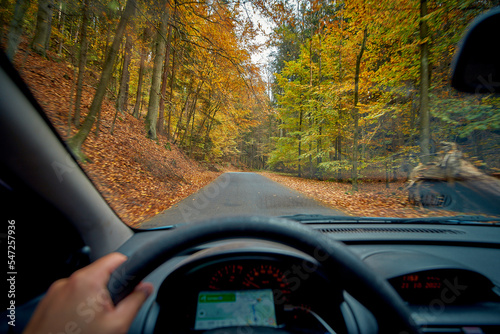 driving car in autumn forest, view from inside