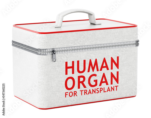 Human organ for transplant box on transparent background.. 3D illustration