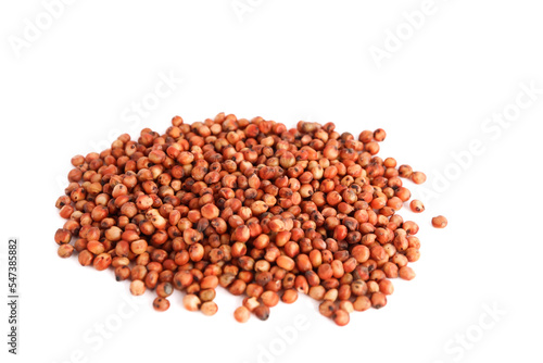 red sorghum isolated on white background